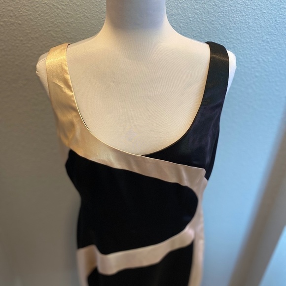 Satiny Dress - Picture 6 of 9